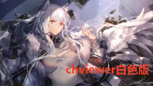 chviewer白色版2022