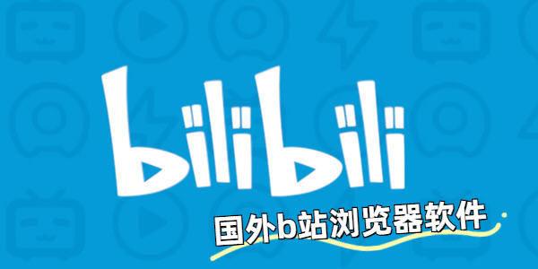 ����bվ���������