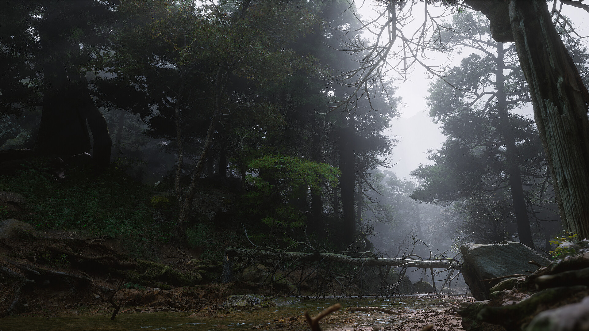 ������շ�����Ӱ��ʮ�����޸�����ͼ3